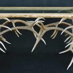 Elk antler and glass sofa table image