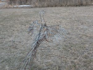 Barbed Wire Pheasant