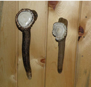 Elk antler drawer pulls image